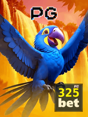 325BET bônus — cashback 15 por cento e níveis VIP